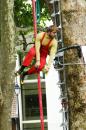 grp liberation des arbres 003 * 4272 x 2848 * (4.98MB)